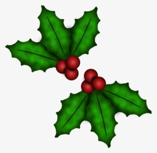 Holly Berries Png