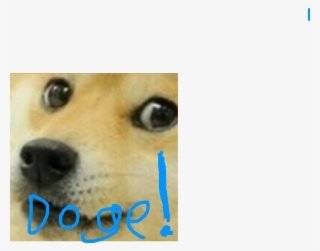 Image2 Image Close Up Of Doge Transparent Png 711x559 Free Download On Nicepng - bag roblox doge
