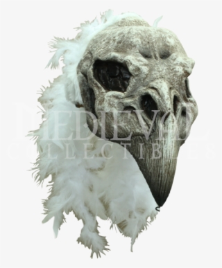 Skull Shading - Vulture Skull