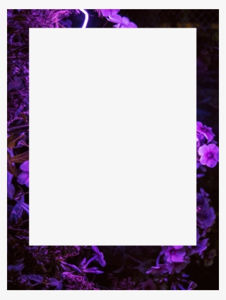 Tumblr Frame Download Free Clipart With A Transparent - Rose