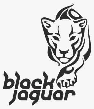 Info@blackjaguar - Media - - Imagenes De Logos De Pumas