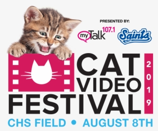 Cat Video Festival Presented Mytalk And The Paul Saints - Kitten