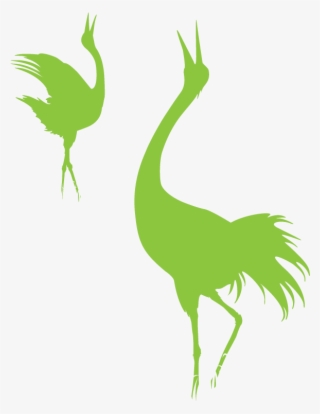 01-og - Crane-like Bird