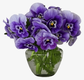Download Violets Vase Bouquet Png Images Background - Violets In A Vase