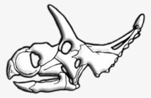 Albertaceratops Skull Diagram - Sketch