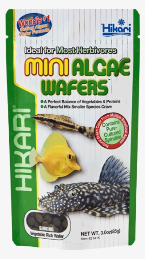Hikari Tropical Mini Algae Wafers - Hikari Mini Algae Wafers - 2.2 Lb