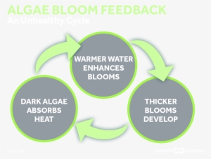 Jpg • Png - Diagram
