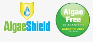 “algaeshield Has Been A Great Product We Use It On - Clipper Magazine