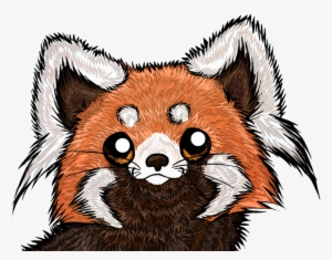 Panda Face Drawing At Getdrawings - Red Panda Face Drawing