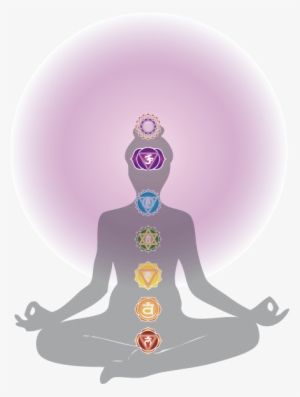 Harmonizing The Energy Body Chakra Anatomy Third Eye - Lotus Third Eye