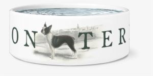 Boston Terrier Water Or Food Bowl - Bull Terrier