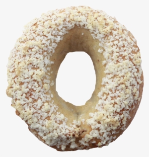 The Greater Knead - Salted Bagel