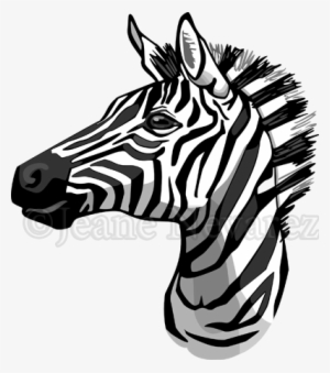 Art By Jeane Nevarez - Zebra Head Line Drawing