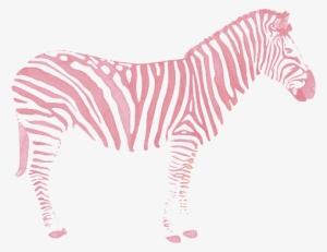 Zebra Love, Plus So Pretty In Pink - Zebra Transparents