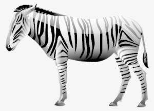Zebra Png Image - Zebra 3d Image Png