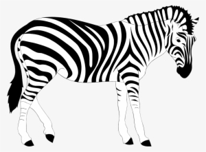 Clipart Zebra Real - Clip Art Zebra