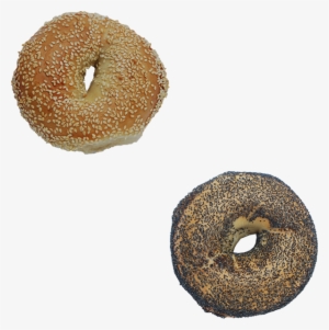 Gourmet Bagels, Baked From Scratch In Each Shop - Big Daddy Bagels