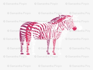 Zebra Savanna - Zebra