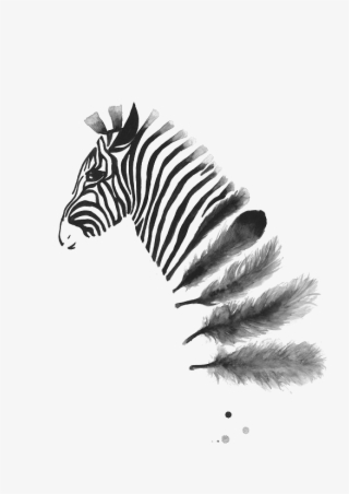 Zebra Ink Wash Into Feathers Pinned By Issy Wilson - A4 Black And White Prints