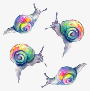 rainow snails - tanya shatseva snails