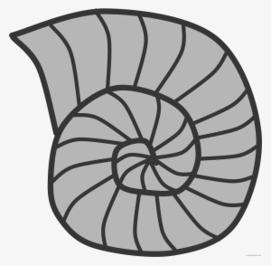 Snail Shell Animal Free - Fossil Clip Art