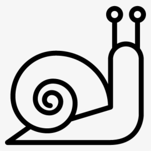 Snail Vector - Snail Icon