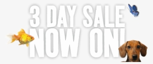 3 Day Sale Now On Banner - Applause