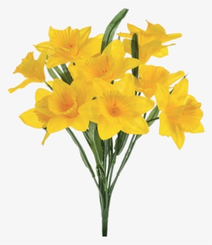 Artificial Daffodils Transparent Png - Daffodil Png