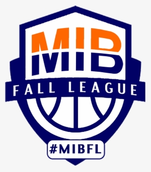 Image3 - Usa Basketball Design Logo