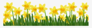 Grass With Daffodils Png Clipart Picture - Clip Art Daffodils