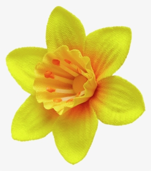 Daffodil Pin - Marie Curie Flower