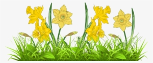 Web Design Development Decor - Daffodil Free Clip Art