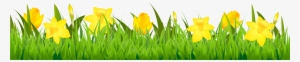 Grass With Daffodils Png Clipart - Daffodil Clip Art Border