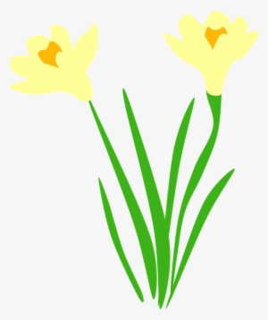 Daffodil Clipart Leek - Daffodil Vector Free