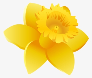 Daffodils Clipart Wales - Daffodil Icon Transparent PNG - 450x389 ...