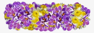 Daffodil Presentation - Blumen Ziffern Png