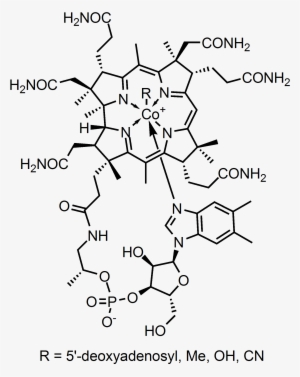 File - Cobalamin - Happiness Molecule / Serotonin Molecule Necklace For