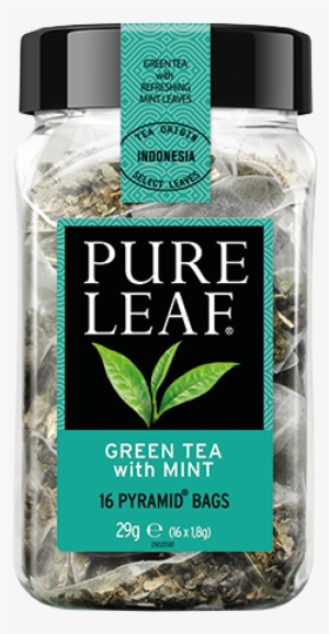 Green Tea With Mint - Pure Leaf Chai Tea