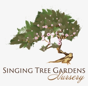 singing tree garden's logo in case study by evenvision - plant nursery