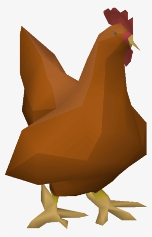 Rooster - Wiki