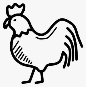 Png File - Chicken