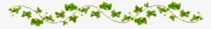 Creeper Plant Png - Vines Png