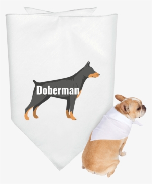 Doberman Illustration With Name Within 3905 Doggie - Customcat Pug Life 3905 Doggie Bandana