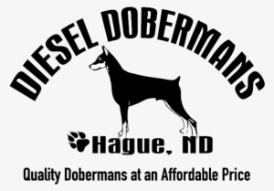 Diesel Dobermans - Day & Zimmermann