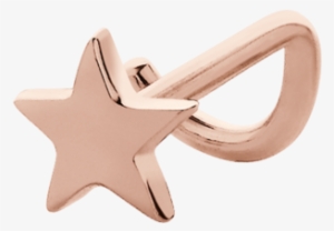 Echinoderm