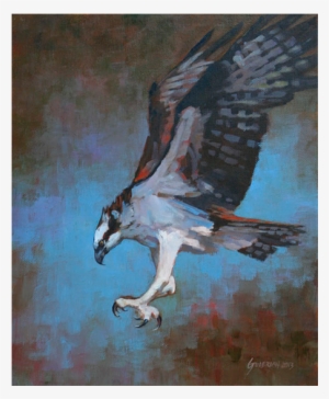 Osprey - Painting