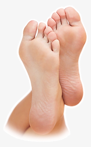 Trinity Health Foot And - Feet Png Transparent