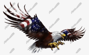 American Eagle Flight Side
