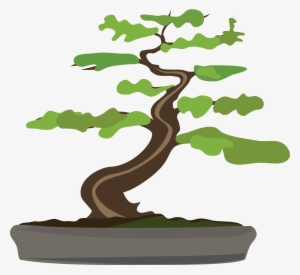 Free Clipart Of A Bonsai Tree - Bonsai Tree Clipart Transparent