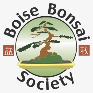 Bonsai Clipart Ancient Tree - Boise Bonsai Society